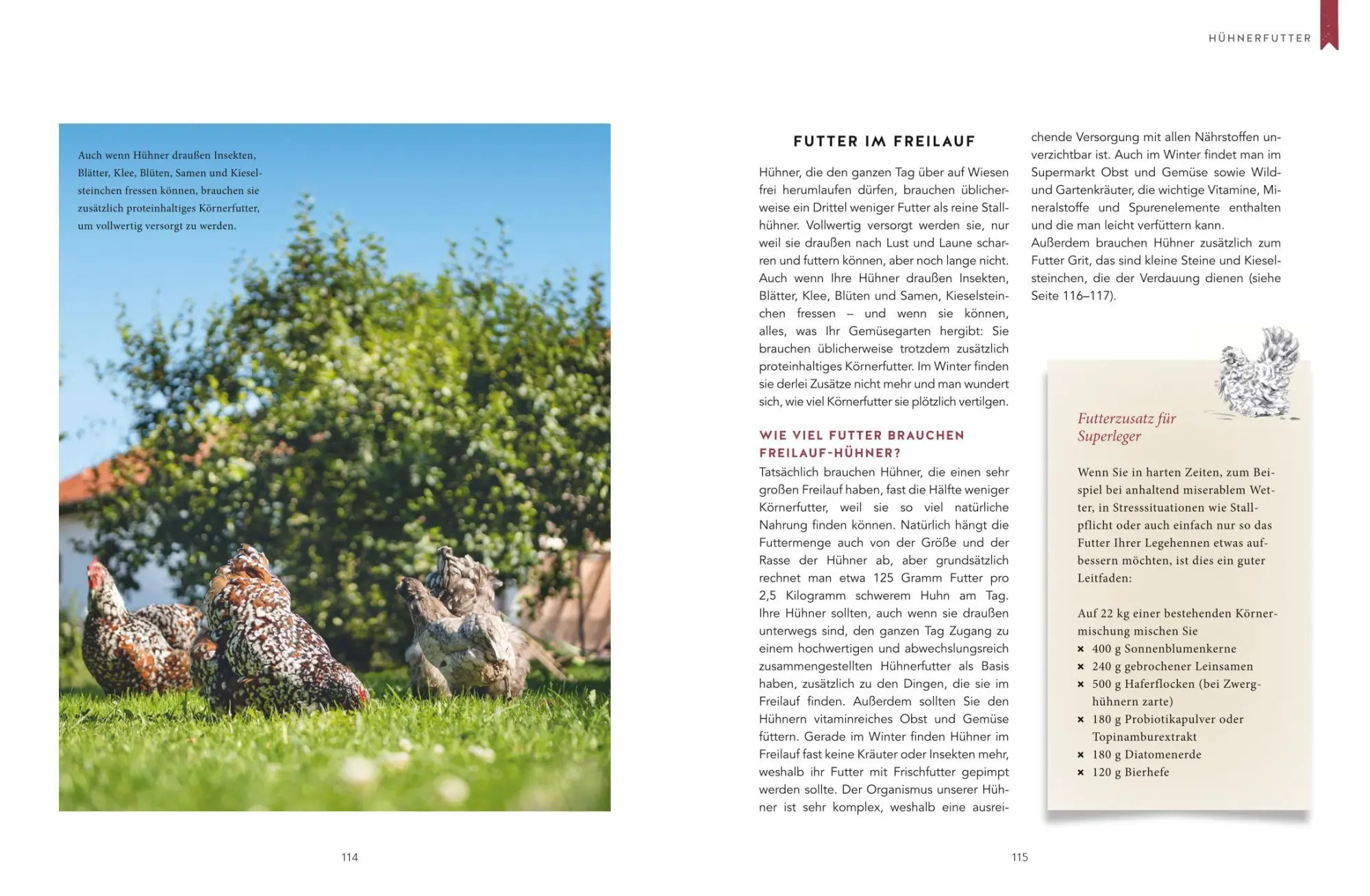 Bild: 9783833877094 | Hühnerliebe | Das große Praxisbuch | Katharina von der Leyen | Buch