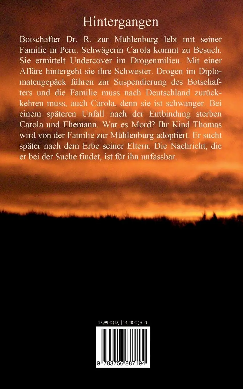 Rückseite: 9783756887194 | Hintergangen | Dieter A. Freitag | Taschenbuch | 342 S. | Deutsch
