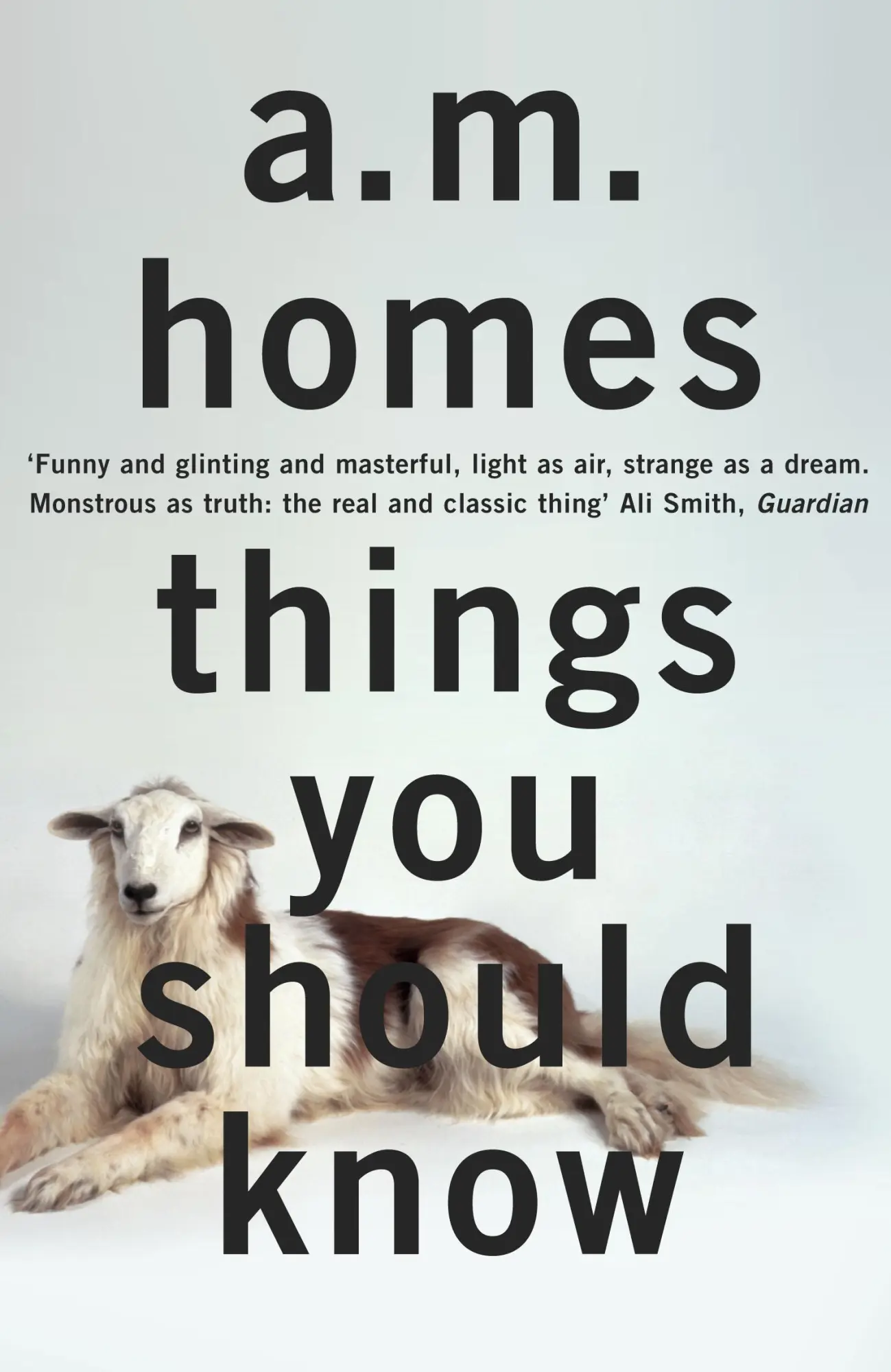 Cover: 9781847087294 | Things You Should Know | A. M. Homes | Taschenbuch | Englisch | 2013