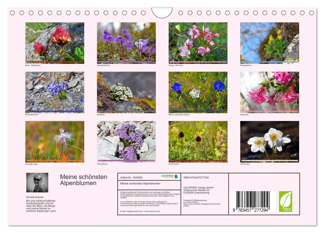 Bild: 9783457277294 | Meine schönsten Alpenblumen (Wandkalender 2026 DIN A4 quer),...