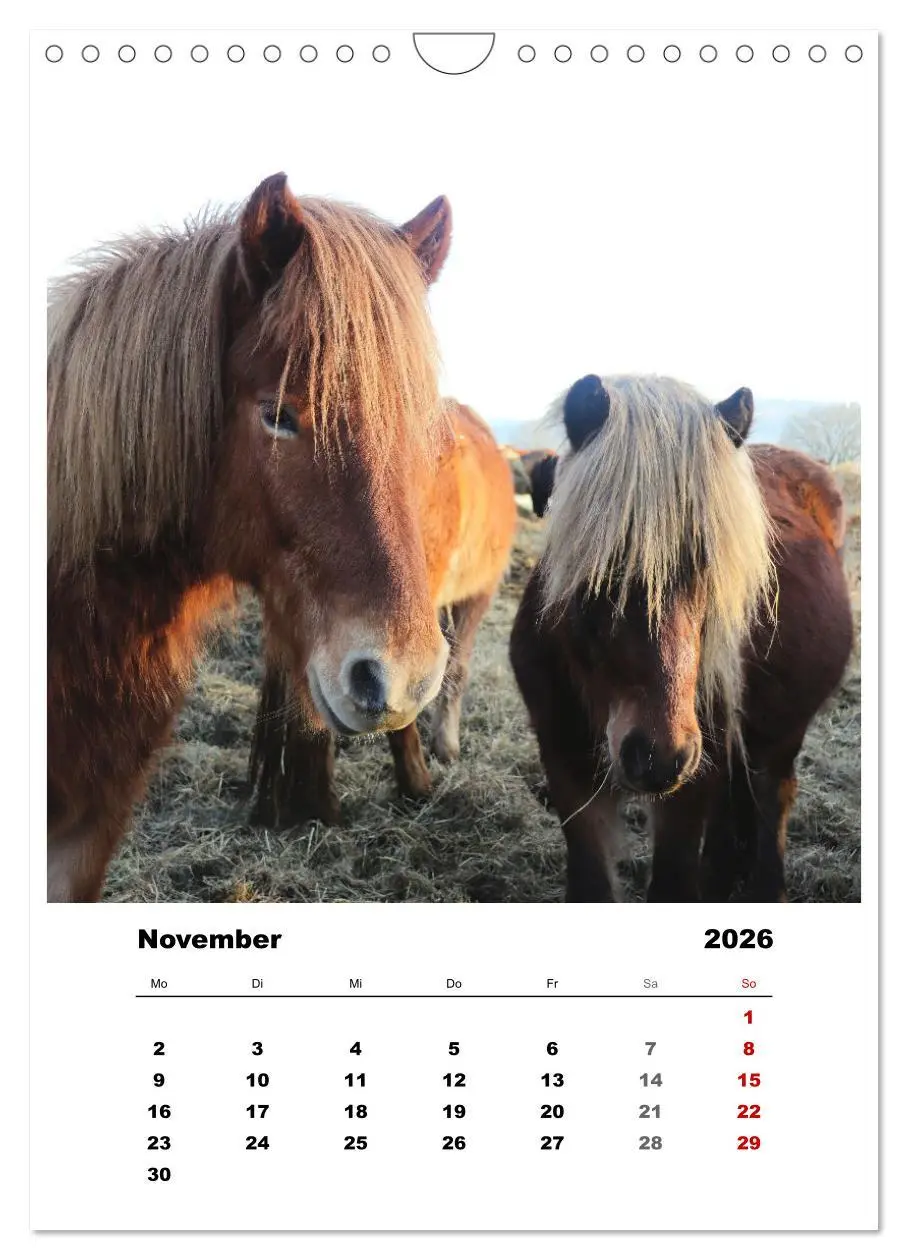 Bild: 9783516367294 | Bauernhoftiere, ganz nah dran (Wandkalender 2026 DIN A4 hoch),...