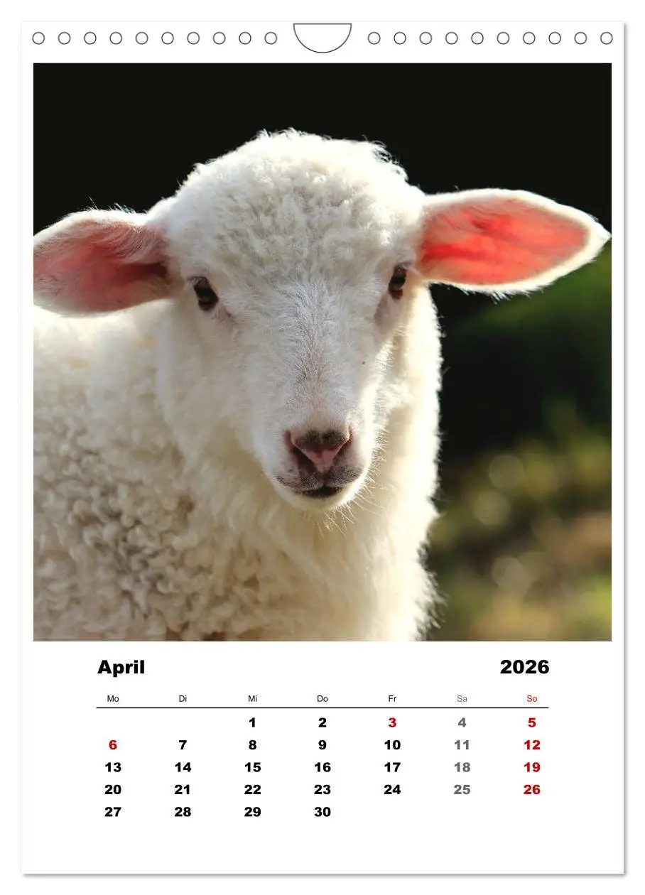 Bild: 9783516367294 | Bauernhoftiere, ganz nah dran (Wandkalender 2026 DIN A4 hoch),...