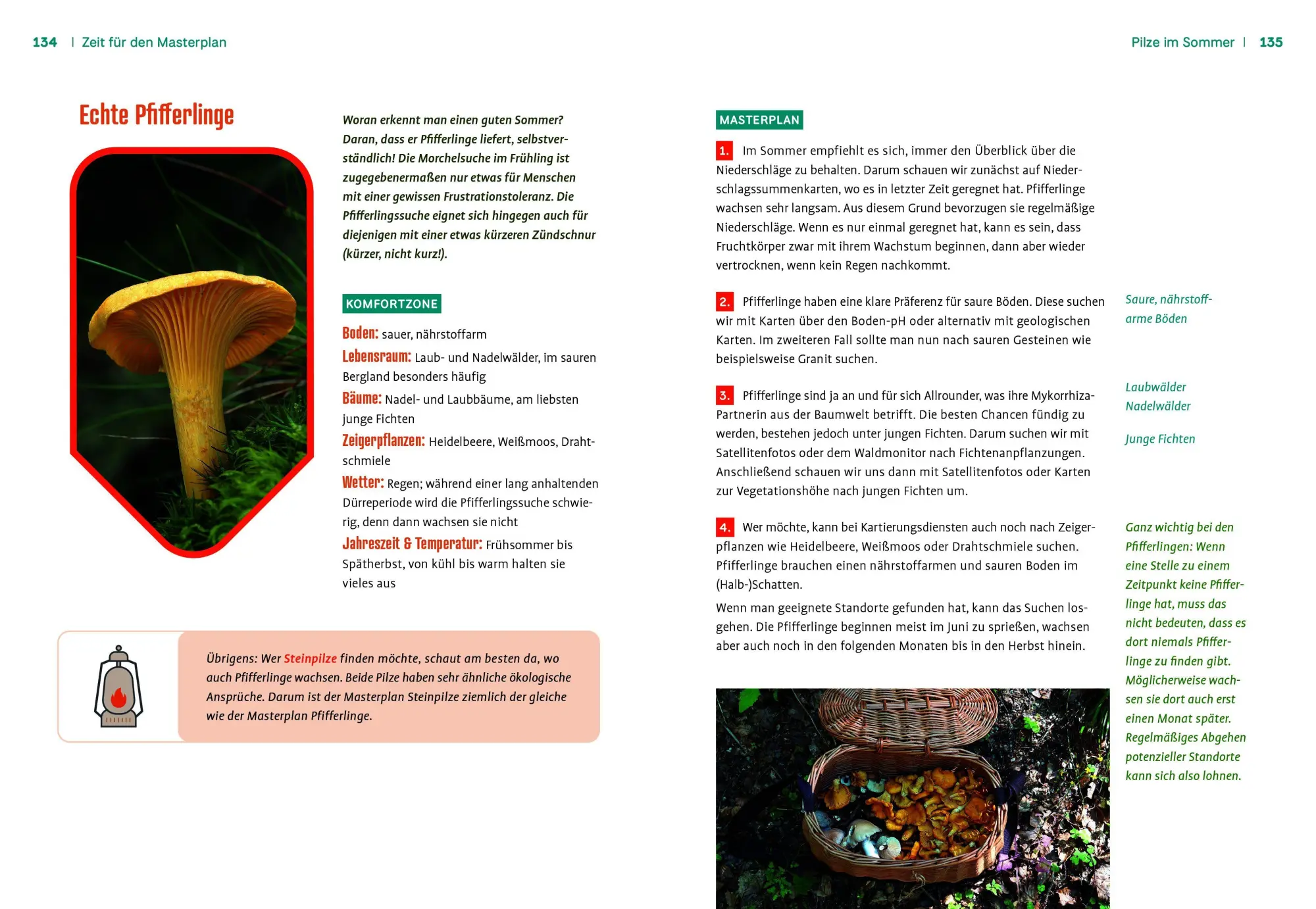 Bild: 9783818627294 | Pilznavigator Buschfunkistan | Vanessa Glatzer (u. a.) | Buch | 160 S.