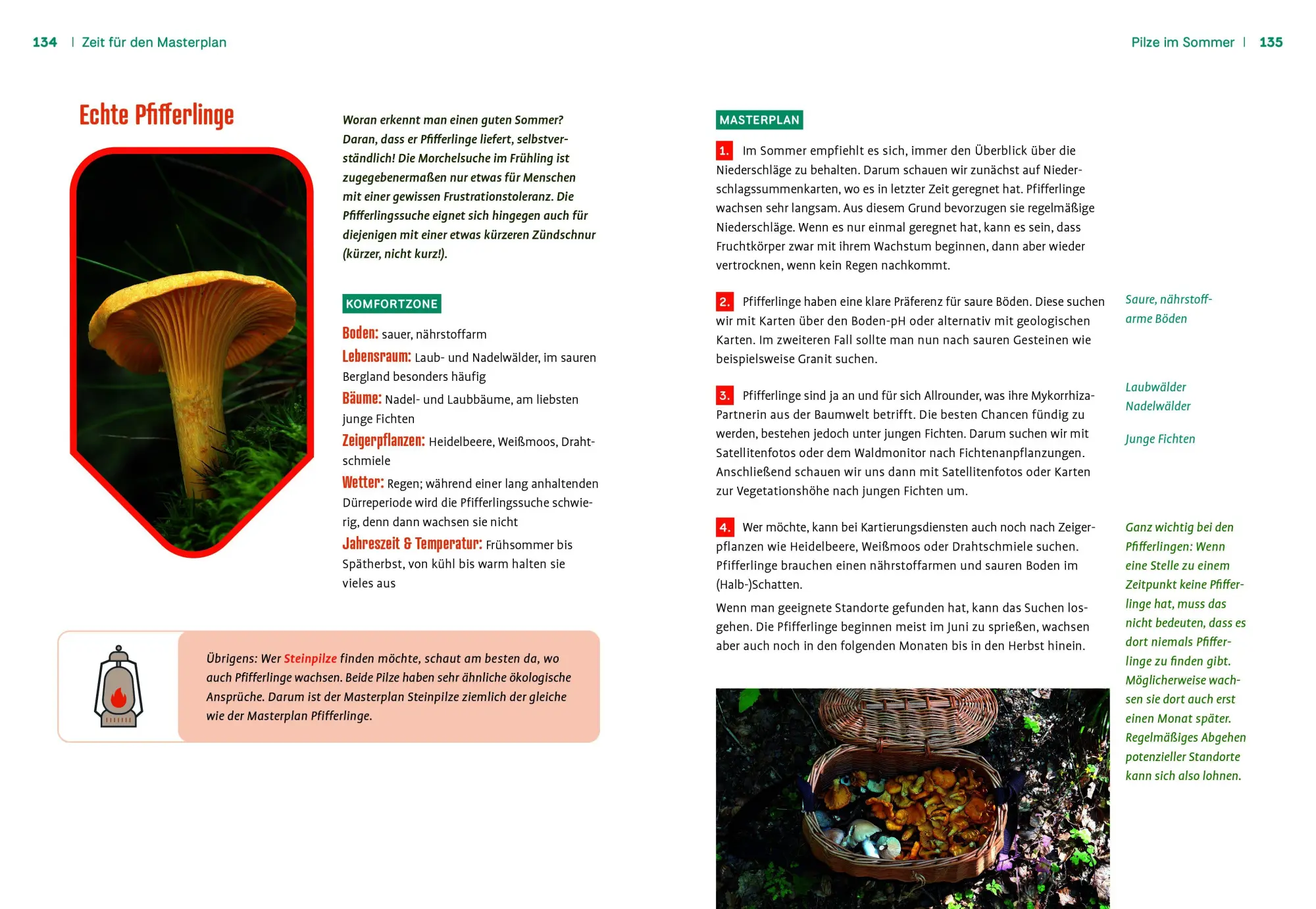 Bild: 9783818627294 | Pilznavigator Buschfunkistan | Vanessa Glatzer (u. a.) | Buch | 160 S.