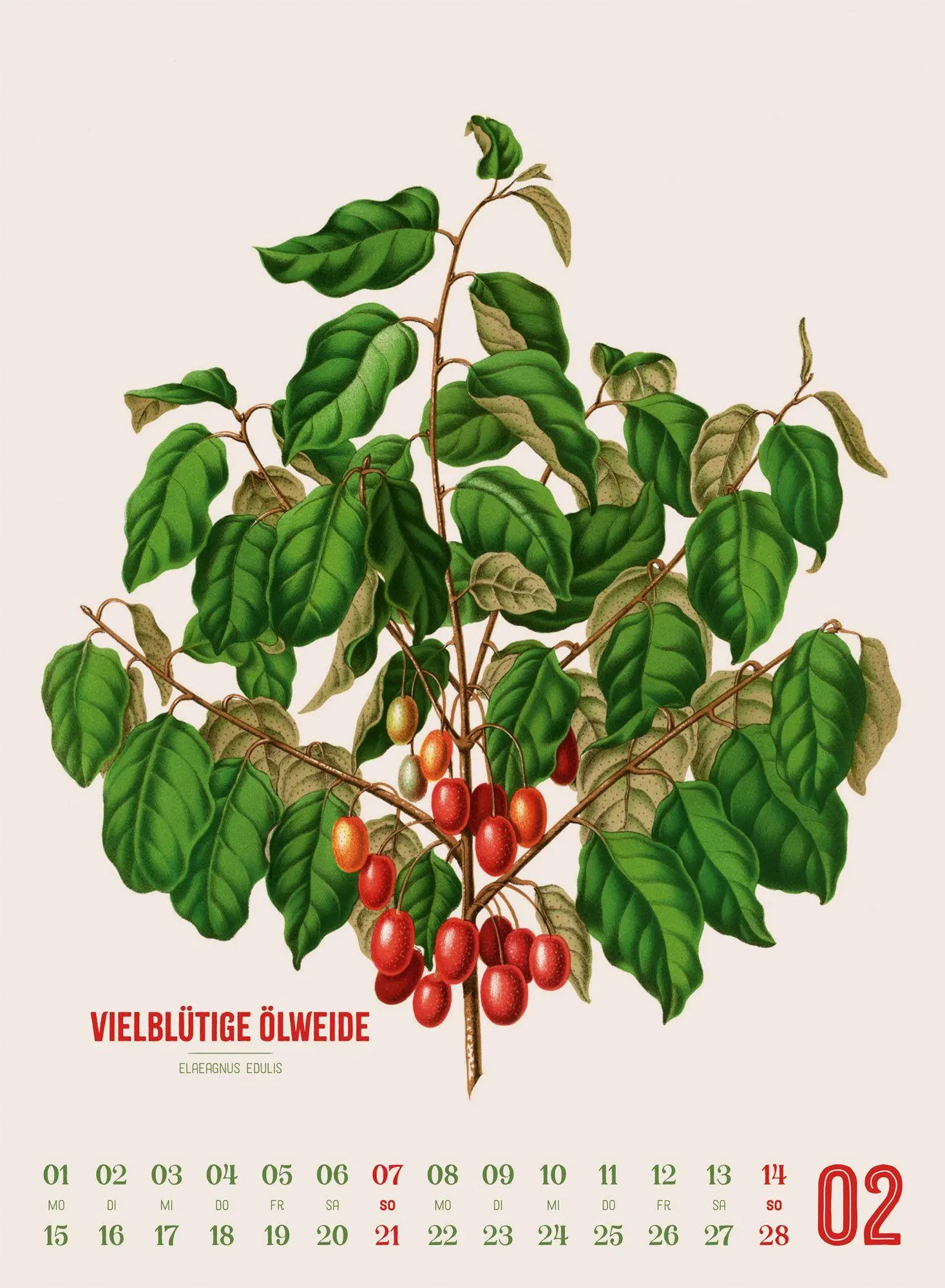 Bild: 9783838427294 | Obstgarten Kalender 2027 Apfel, Birne, Pflaume &amp; Co. | Wendel (u. a.)