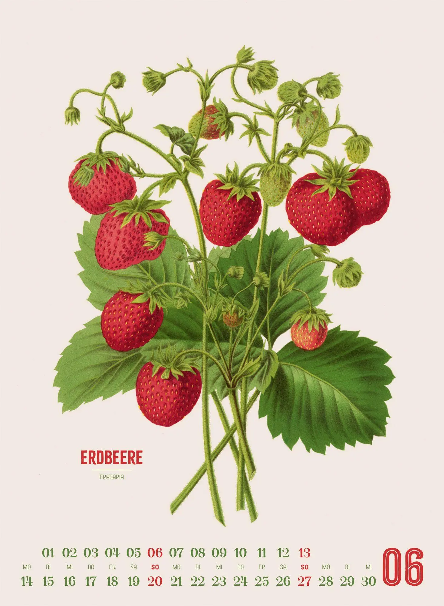 Bild: 9783838427294 | Obstgarten Kalender 2027 Apfel, Birne, Pflaume &amp; Co. | Wendel (u. a.)