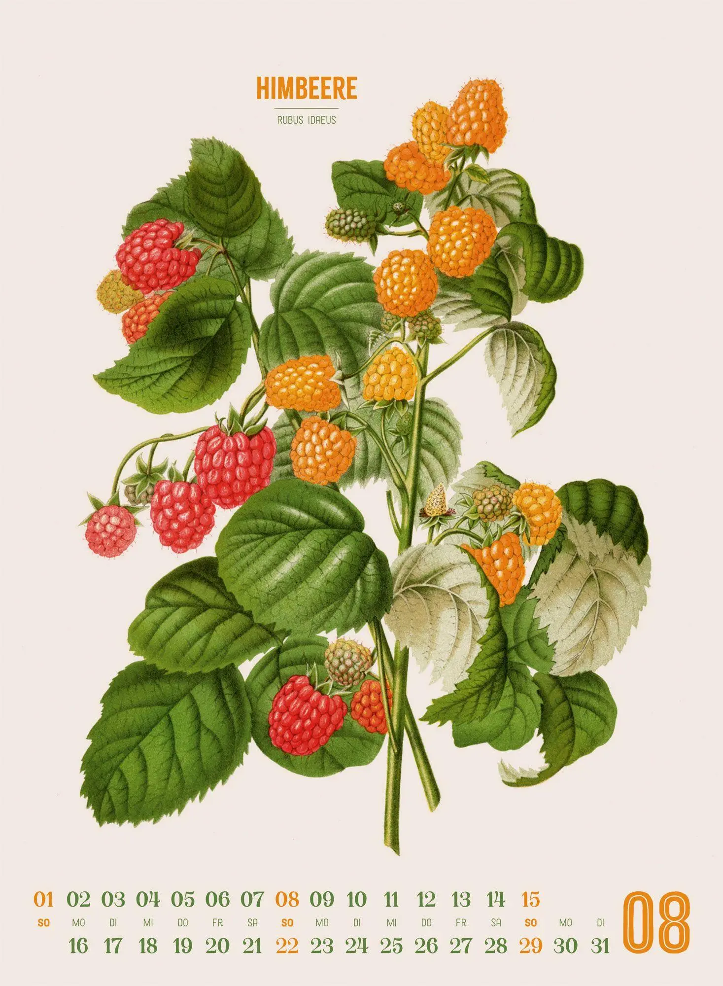 Bild: 9783838427294 | Obstgarten Kalender 2027 Apfel, Birne, Pflaume &amp; Co. | Wendel (u. a.)