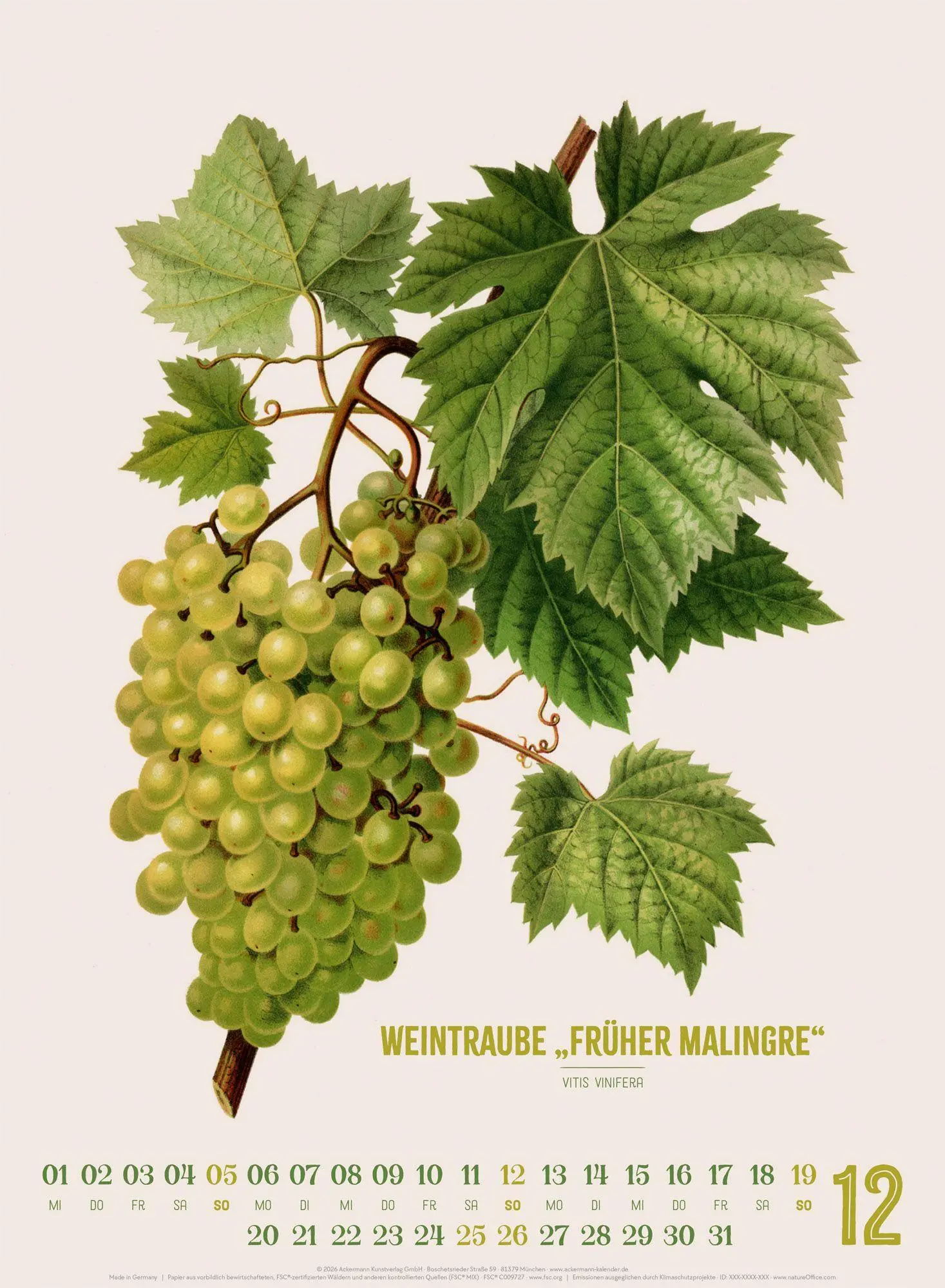 Bild: 9783838427294 | Obstgarten Kalender 2027 Apfel, Birne, Pflaume &amp; Co. | Wendel (u. a.)