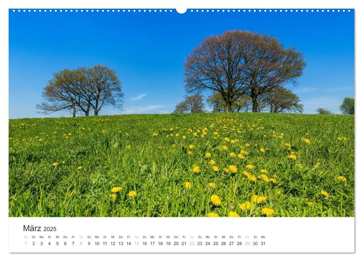 Bild: 9783435557394 | Blicke in die Eifel (Wandkalender 2025 DIN A2 quer), CALVENDO...