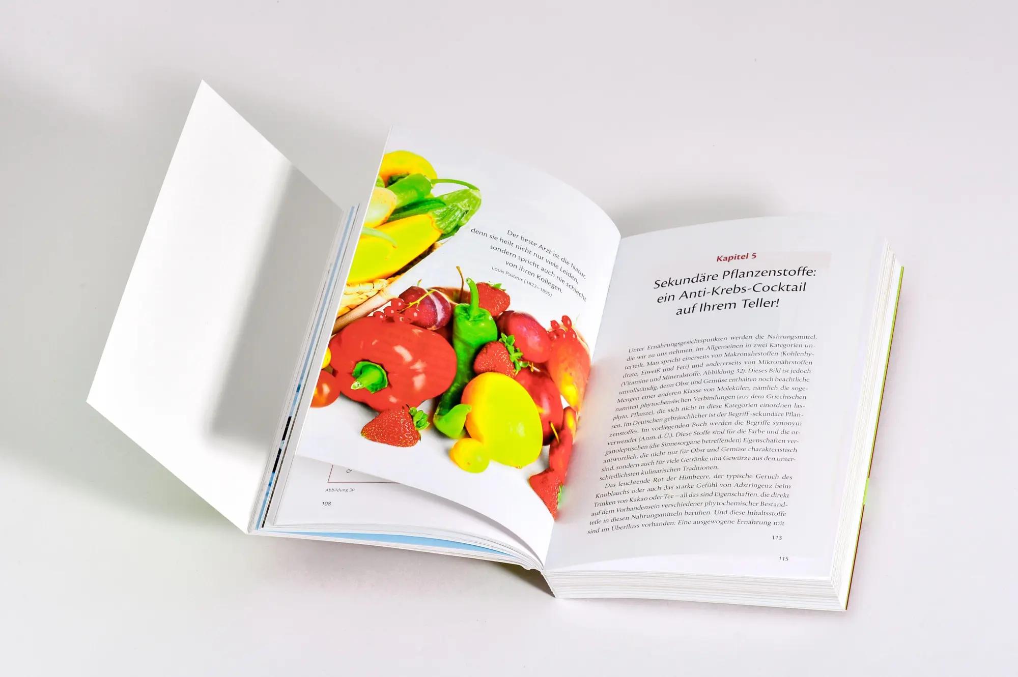 Bild: 9783442177394 | Krebszellen mögen keine Himbeeren | Richard Béliveau (u. a.) | Buch