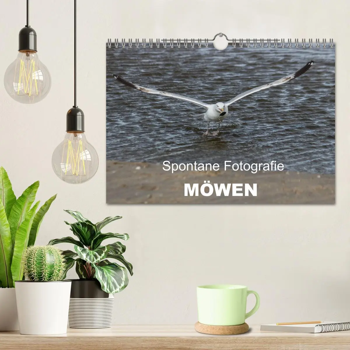 Bild: 9783516117394 | Spontane Fotografie - Möwen (Wandkalender 2026 DIN A4 quer),...