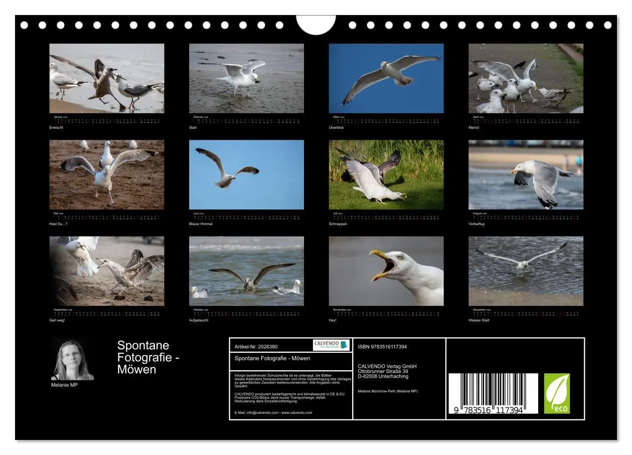 Bild: 9783516117394 | Spontane Fotografie - Möwen (Wandkalender 2026 DIN A4 quer),...