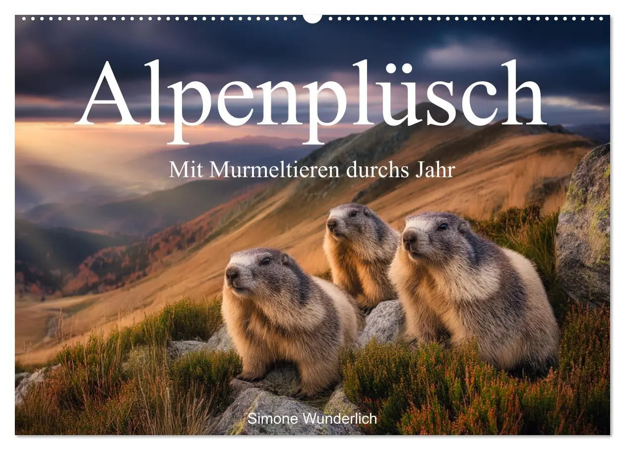 Cover: 9783516597394 | Alpenplüsch - Mit Murmeltieren durchs Jahr (Wandkalender 2026 DIN...