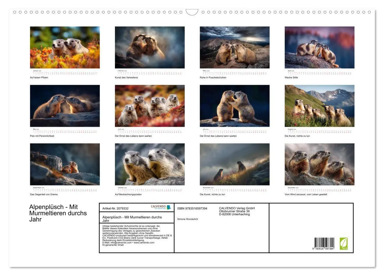 Bild: 9783516597394 | Alpenplüsch - Mit Murmeltieren durchs Jahr (Wandkalender 2026 DIN...