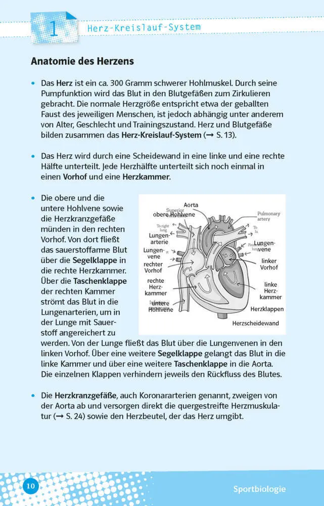 Bild: 9783129497494 | Abi last minute Sport | Christoph Seibold | Taschenbuch | 160 S.