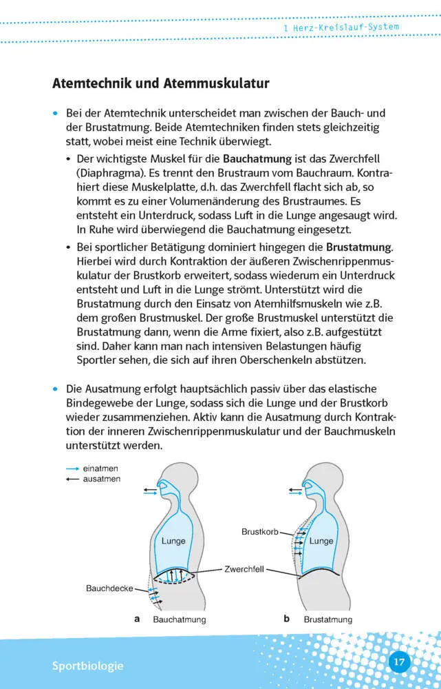 Bild: 9783129497494 | Abi last minute Sport | Christoph Seibold | Taschenbuch | 160 S.