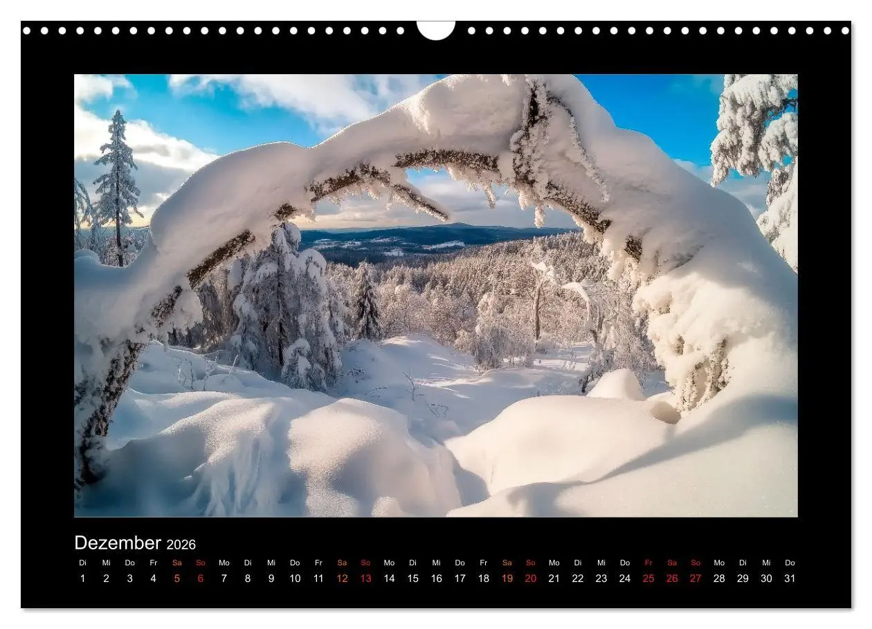 Bild: 9783457257494 | Geheimnisvolle Wildnis Deutschlands (Wandkalender 2026 DIN A3...