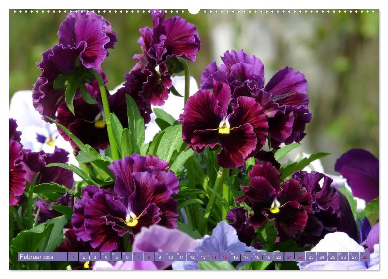 Bild: 9783457637494 | Liebenswerte Blüten (hochwertiger Premium Wandkalender 2026 DIN A2...