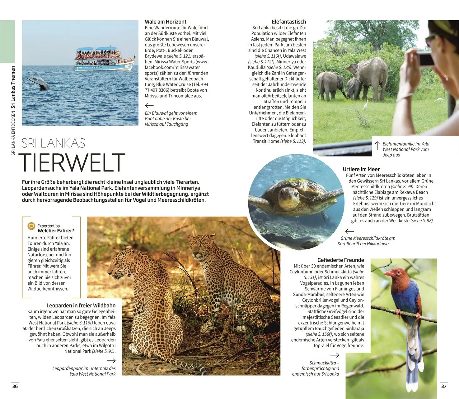 Bild: 9783734207594 | Vis-à-Vis Reiseführer Sri Lanka | Mit detailreichen 3D-Illustrationen
