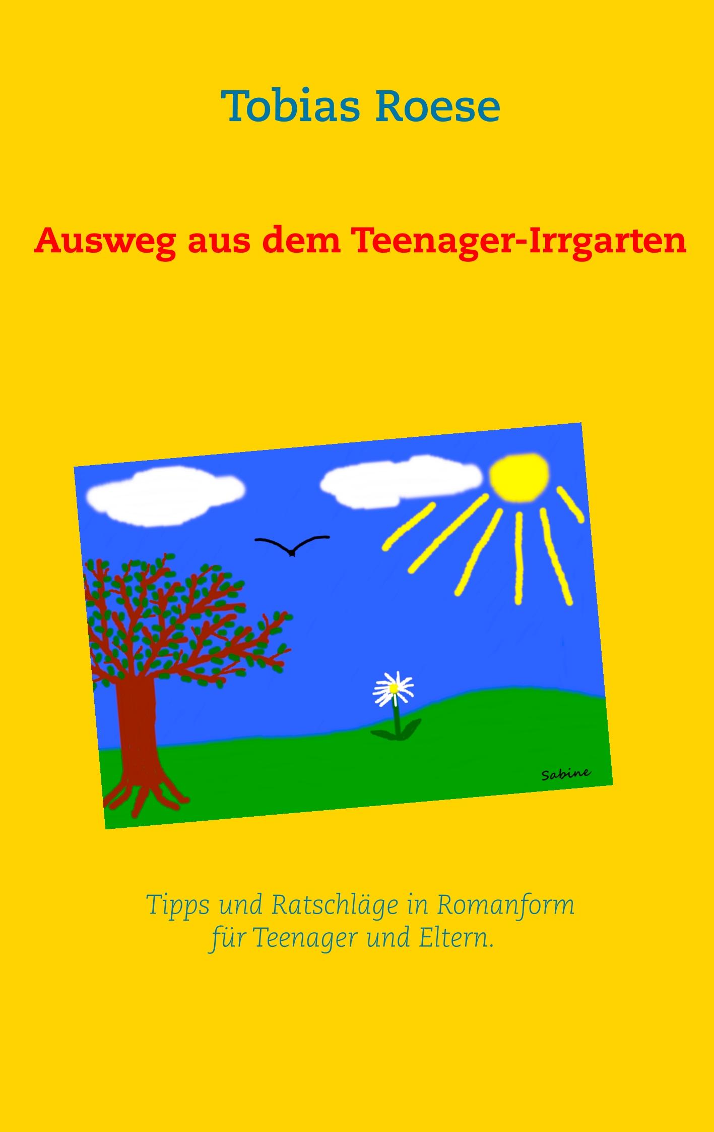 Cover: 9783748167594 | Ausweg aus dem Teenager-Irrgarten | Tobias Roese | Taschenbuch | 2019