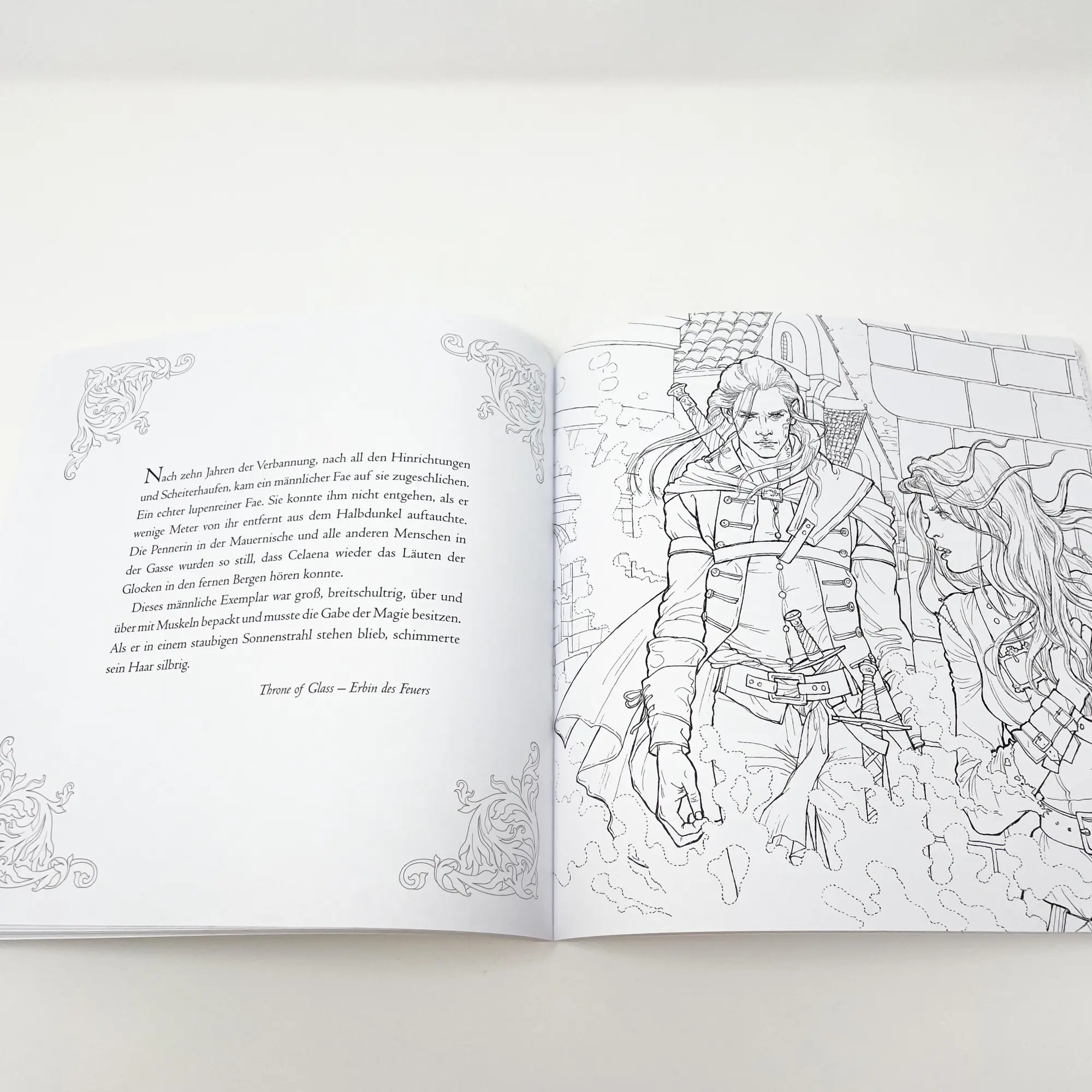 Bild: 9783423717694 | Das große Throne of Glass-Fanbuch | Sarah J. Maas | Taschenbuch | 2017