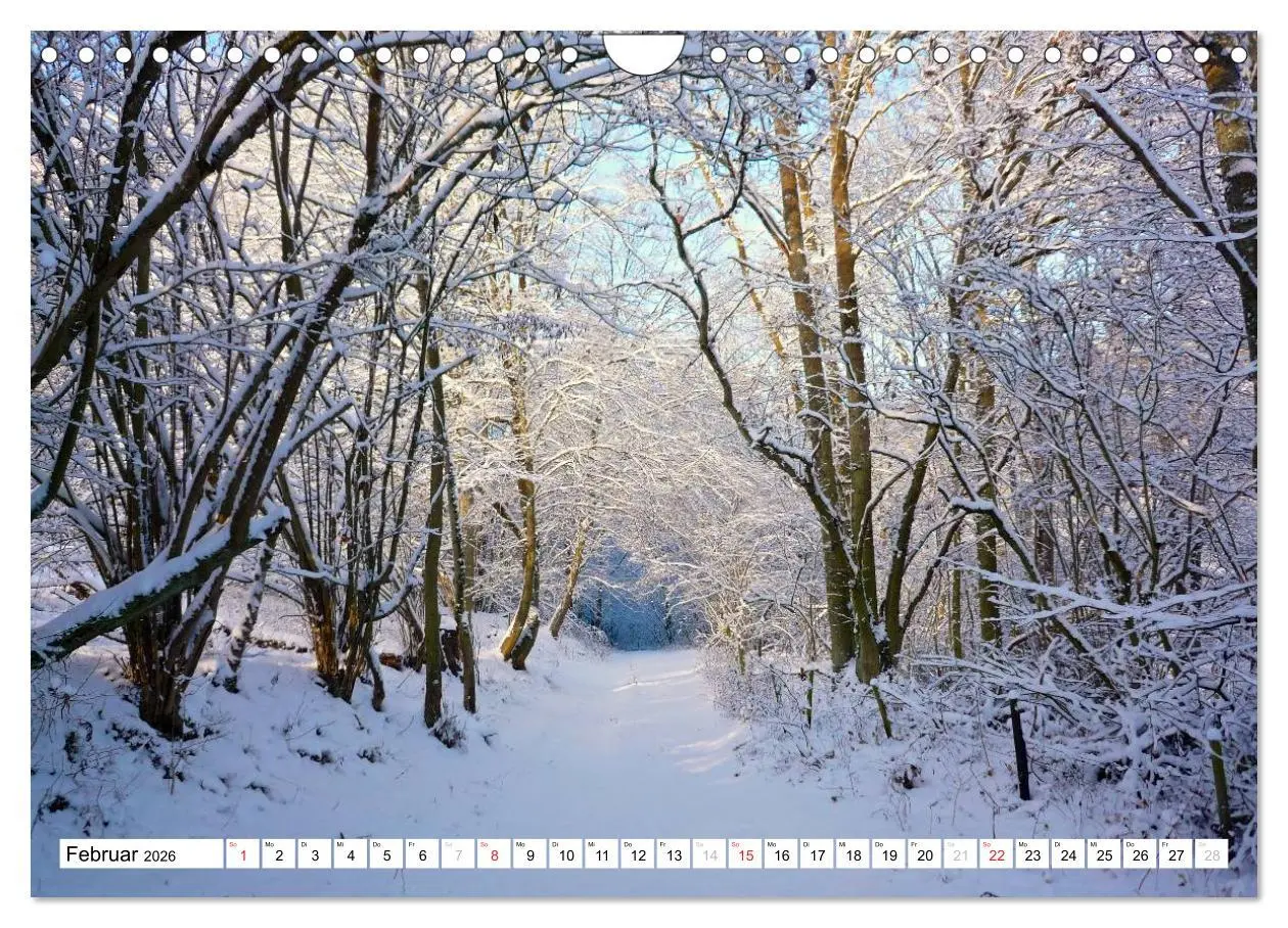 Bild: 9783516187694 | Traumhafte Wege durch die Eifel (Wandkalender 2026 DIN A4 quer),...
