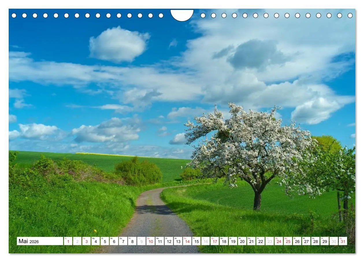 Bild: 9783516187694 | Traumhafte Wege durch die Eifel (Wandkalender 2026 DIN A4 quer),...
