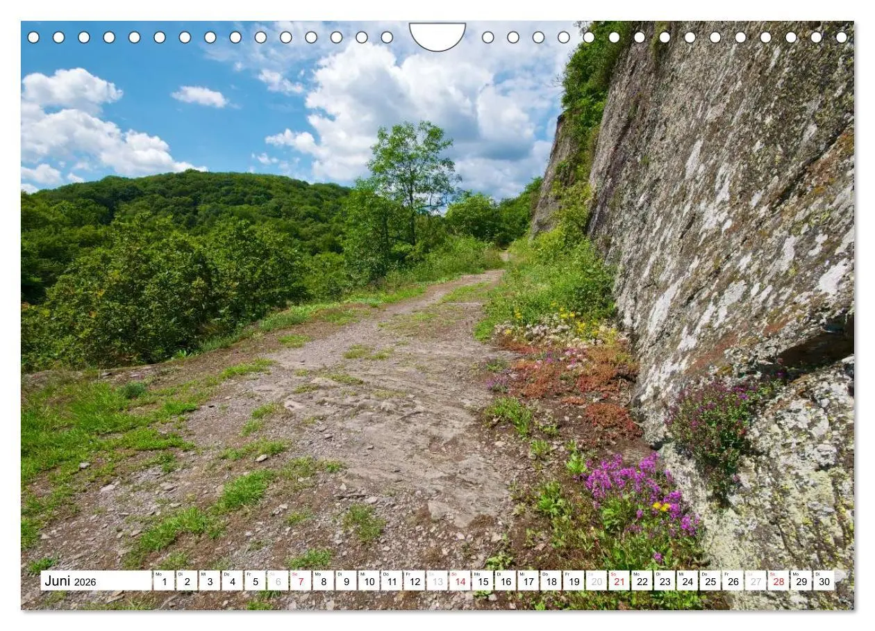 Bild: 9783516187694 | Traumhafte Wege durch die Eifel (Wandkalender 2026 DIN A4 quer),...
