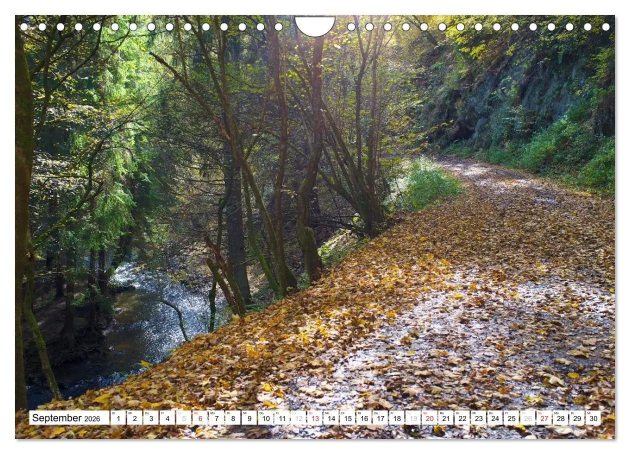 Bild: 9783516187694 | Traumhafte Wege durch die Eifel (Wandkalender 2026 DIN A4 quer),...