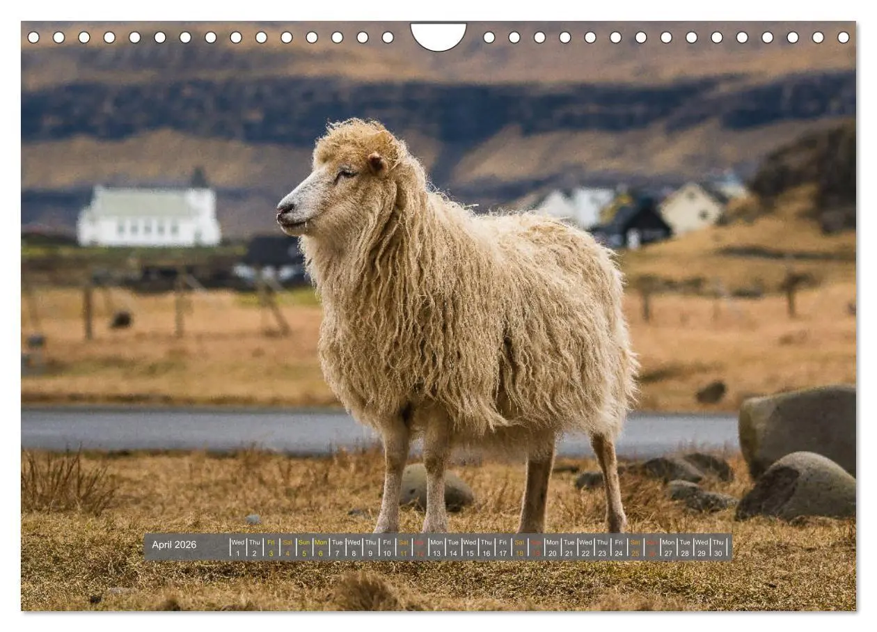 Bild: 9783516567694 | Spectacular beauty - Faroe Islands (Wall Calendar 2026 DIN A4...