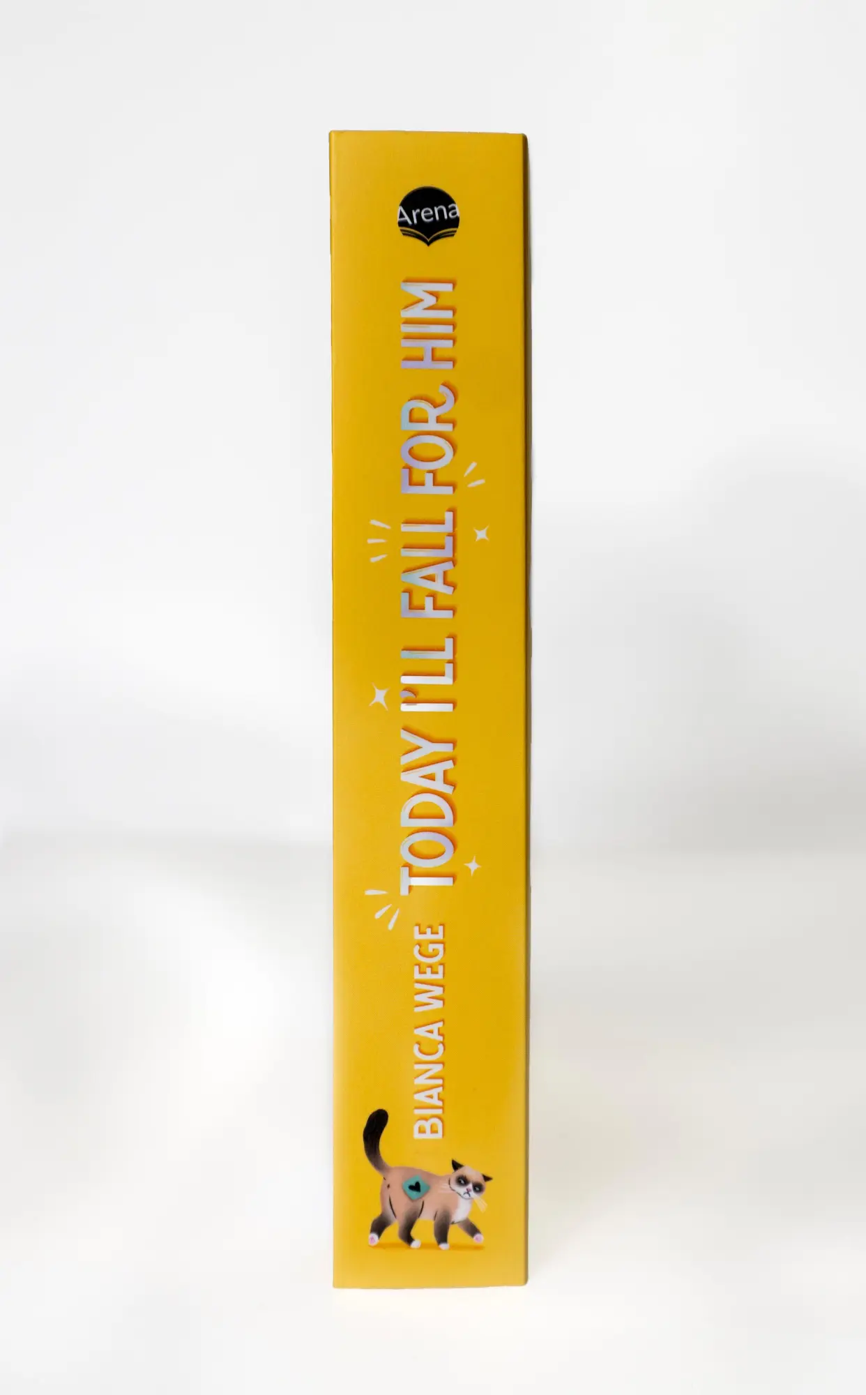 Bild: 9783401607894 | Today I'll Fall For Him (3) | Bianca Wege | Taschenbuch | Today-Reihe