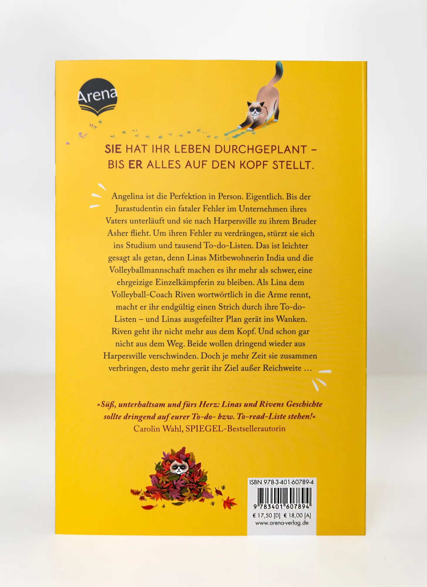 Bild: 9783401607894 | Today I'll Fall For Him (3) | Bianca Wege | Taschenbuch | Today-Reihe