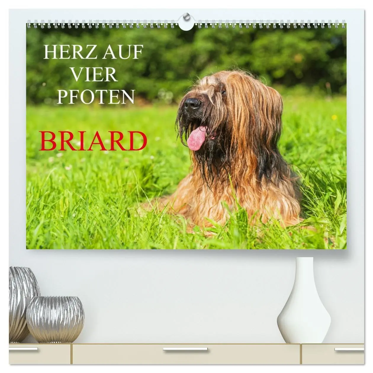 Cover: 9783457387894 | Herz auf vier Pfoten - Briard (hochwertiger Premium Wandkalender...