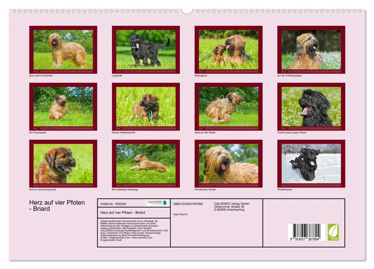Bild: 9783457387894 | Herz auf vier Pfoten - Briard (hochwertiger Premium Wandkalender...