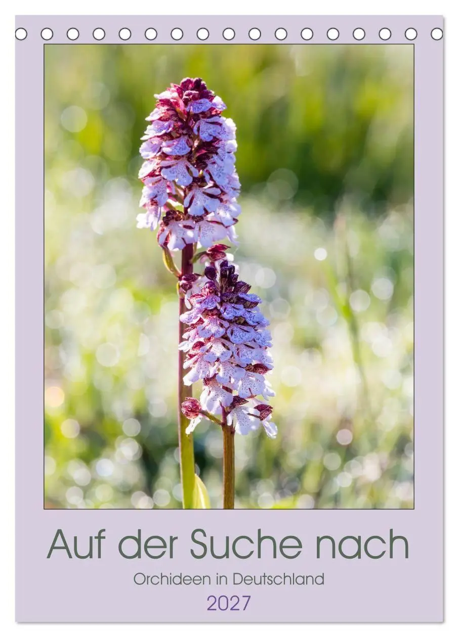 Cover: 9783569567894 | Auf der Suche nach Orchideen in Deutschland (Tischkalender 2027 DIN...