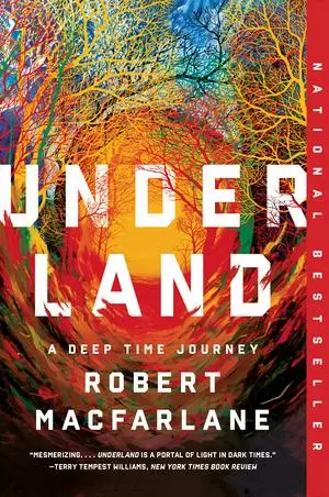 Cover: 9780393358094 | Underland | A Deep Time Journey | Robert Macfarlane | Taschenbuch