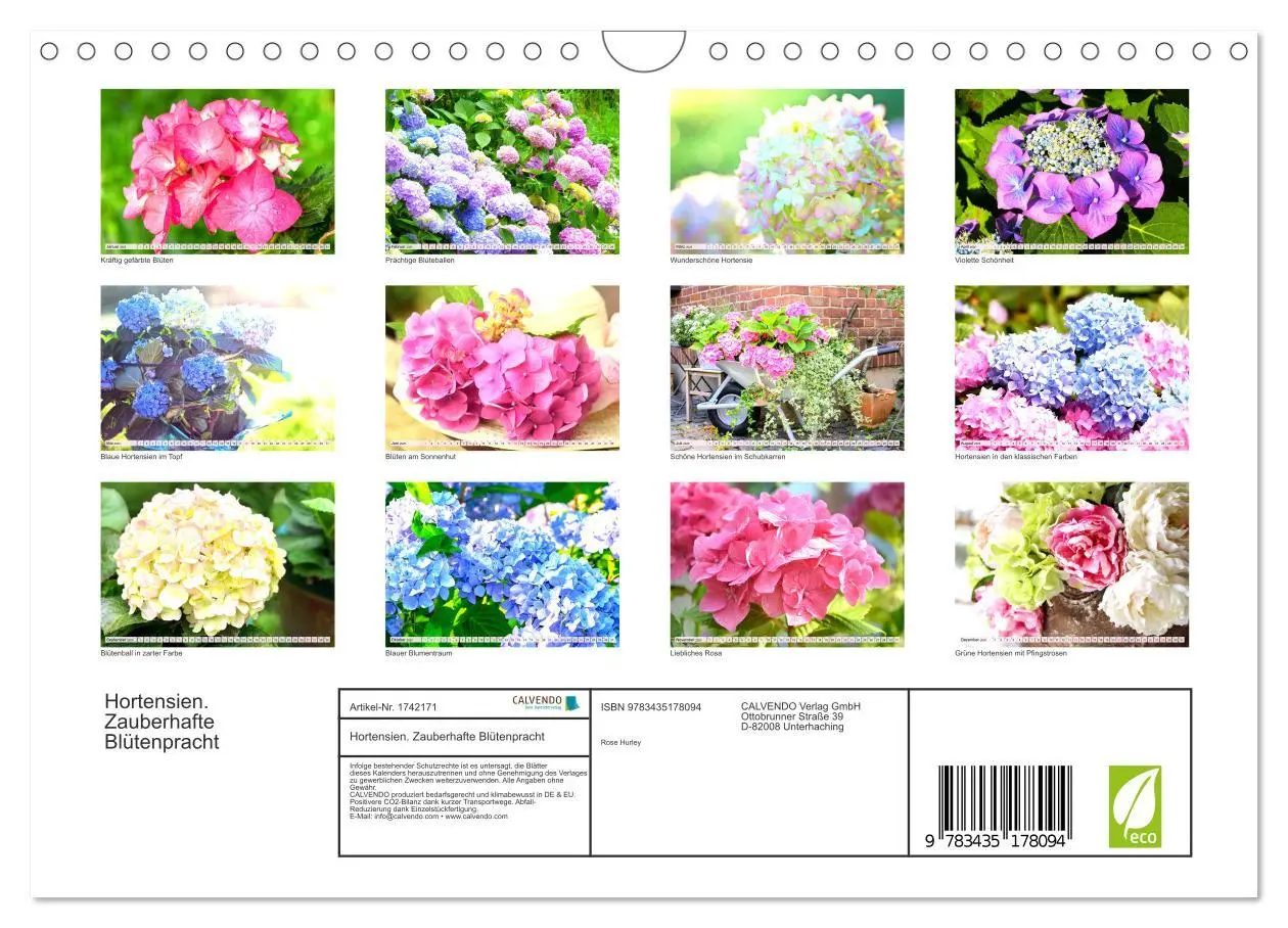 Bild: 9783435178094 | Hortensien. Zauberhafte Blütenpracht (Wandkalender 2025 DIN A4...