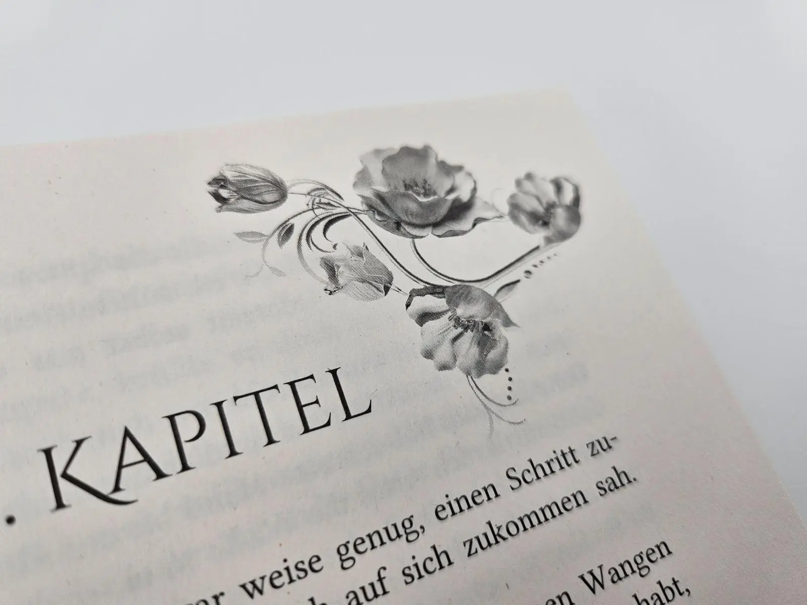 Bild: 9783492508094 | Eine Krone aus Herz und Asche | Laura Labas | Taschenbuch | 464 S.