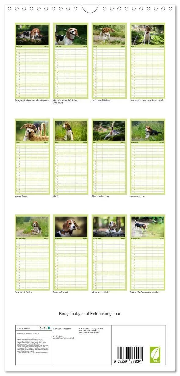 Bild: 9783594338094 | Familienplaner 2027 - Beaglebabys auf Entdeckungstour mit 5 Spalten...