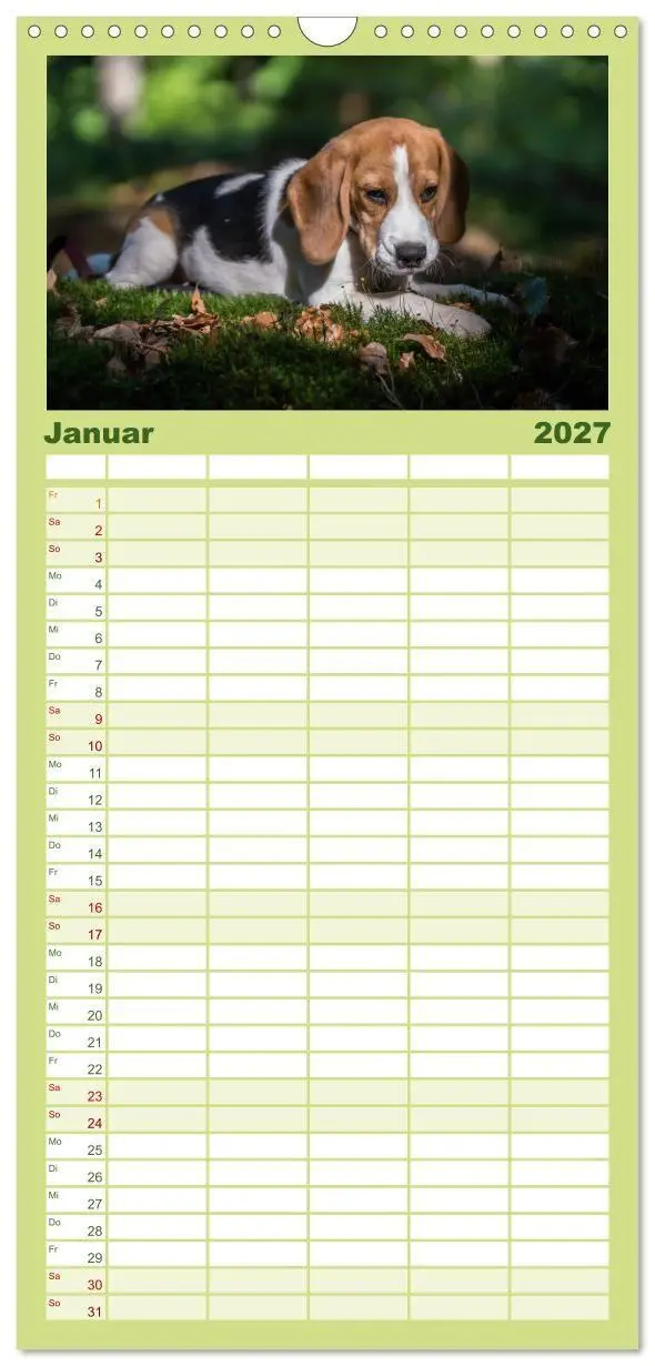 Bild: 9783594338094 | Familienplaner 2027 - Beaglebabys auf Entdeckungstour mit 5 Spalten...