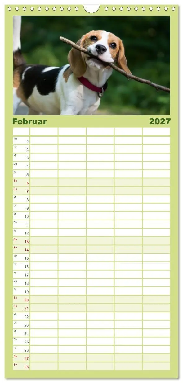 Bild: 9783594338094 | Familienplaner 2027 - Beaglebabys auf Entdeckungstour mit 5 Spalten...