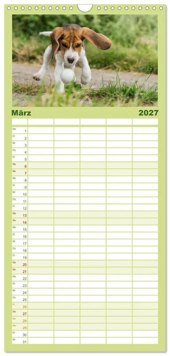 Bild: 9783594338094 | Familienplaner 2027 - Beaglebabys auf Entdeckungstour mit 5 Spalten...