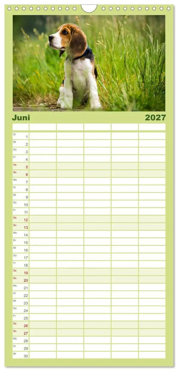 Bild: 9783594338094 | Familienplaner 2027 - Beaglebabys auf Entdeckungstour mit 5 Spalten...