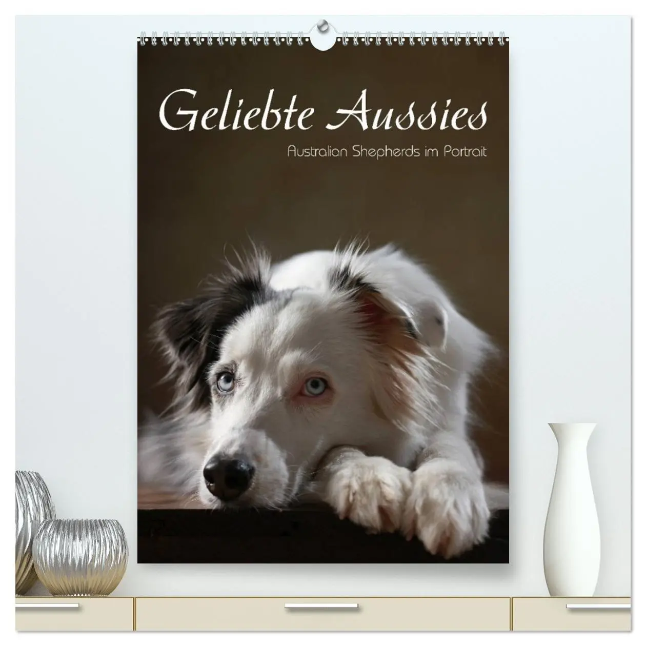 Cover: 9783516418194 | Geliebte Aussies - Australian Shepherds im Portrait (hochwertiger...
