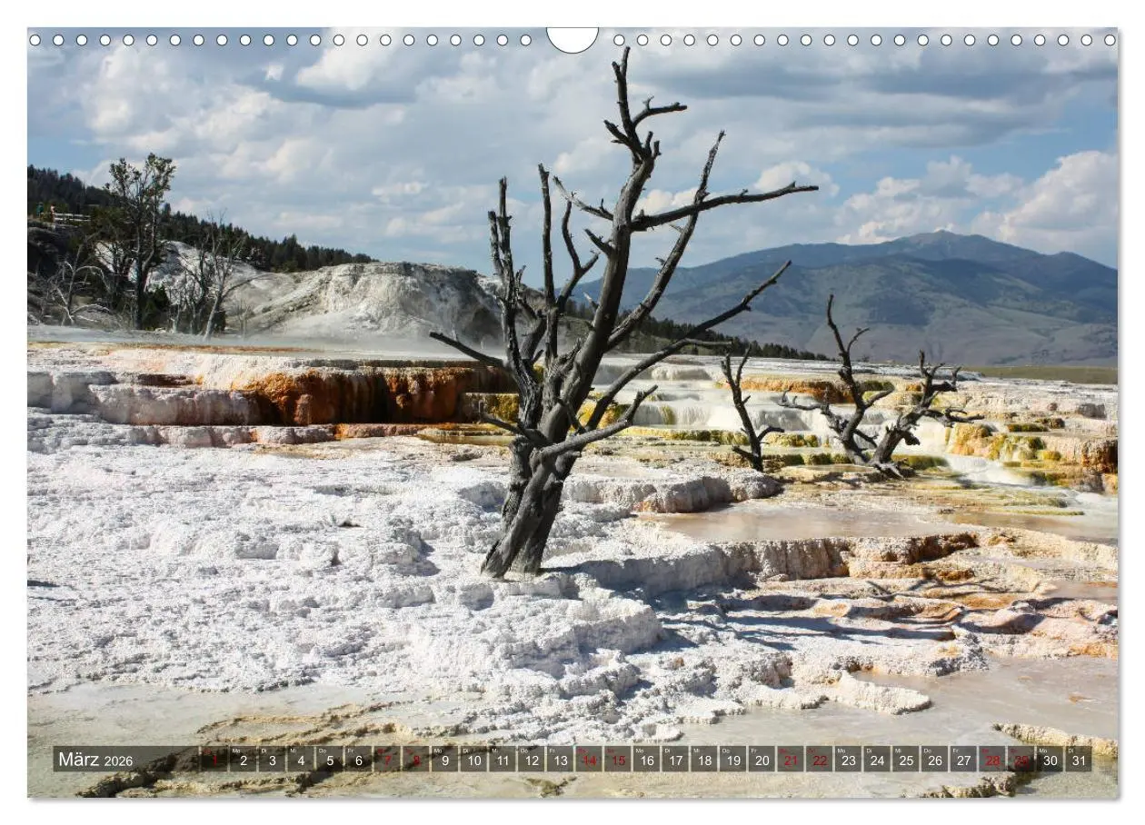Bild: 9783457868294 | Farben des Yellowstone National Park 2026 (Wandkalender 2026 DIN A3...
