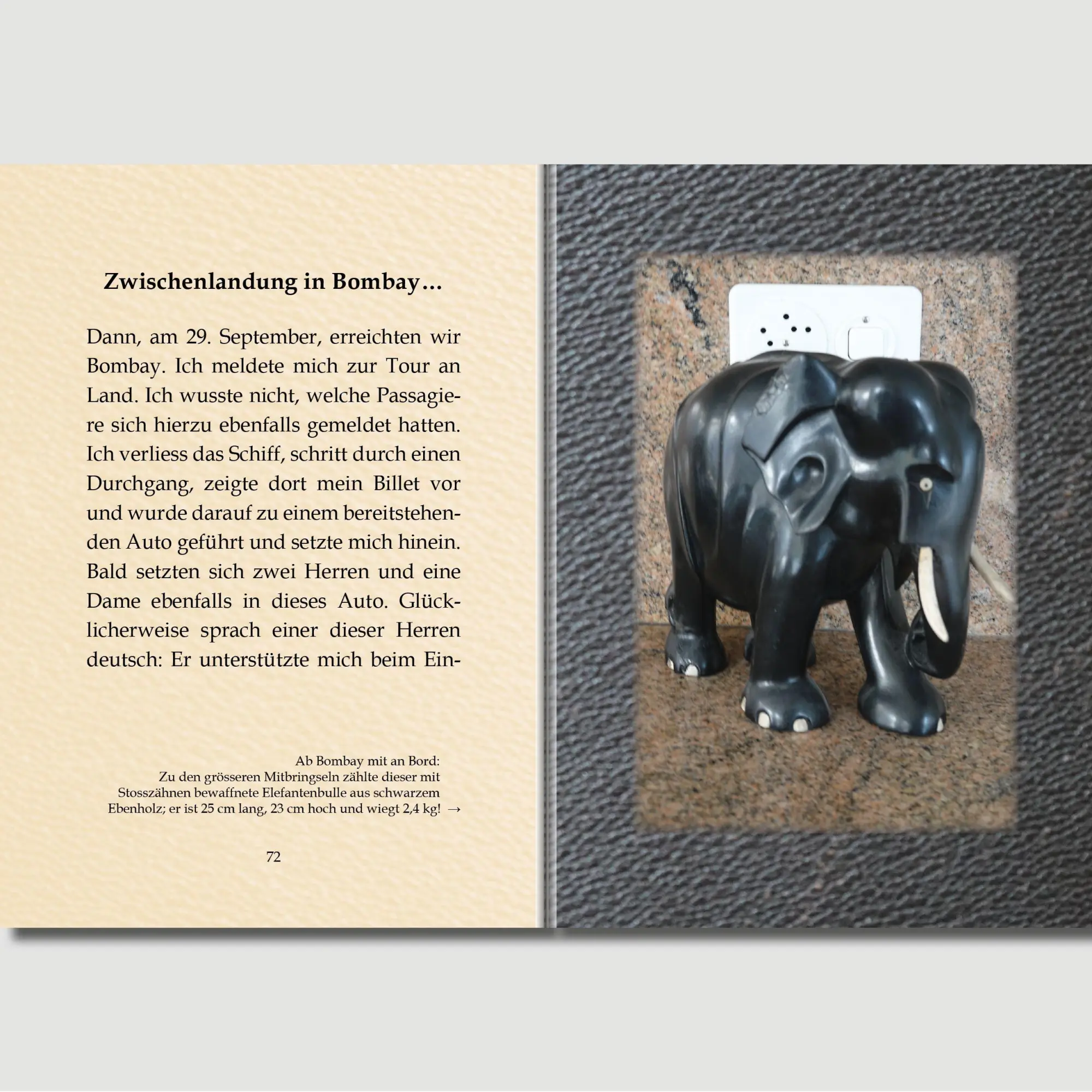 Bild: 9783758208294 | Eine Hochseereise zu Urgrossmutters Zeiten | Resy Gloor-Madöry | Buch