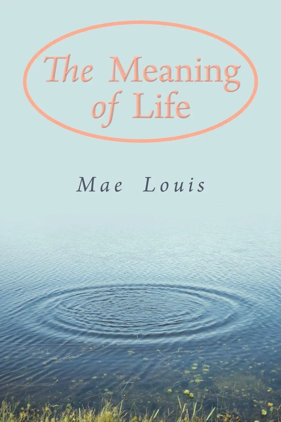 Cover: 9781452558394 | The Meaning of Life | Mae Louis | Taschenbuch | Englisch | 2012