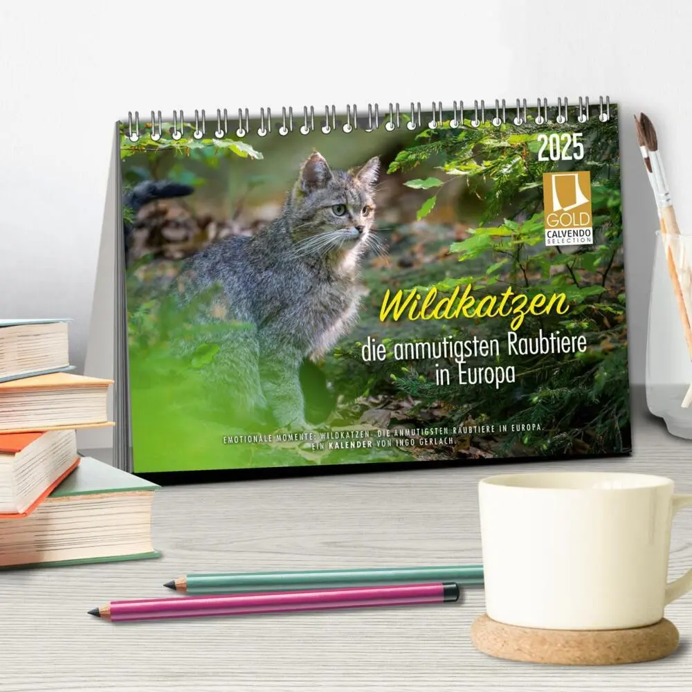 Bild: 9783435218394 | Wildkatzen - die anmutigsten Raubiere in Europa. (Tischkalender...