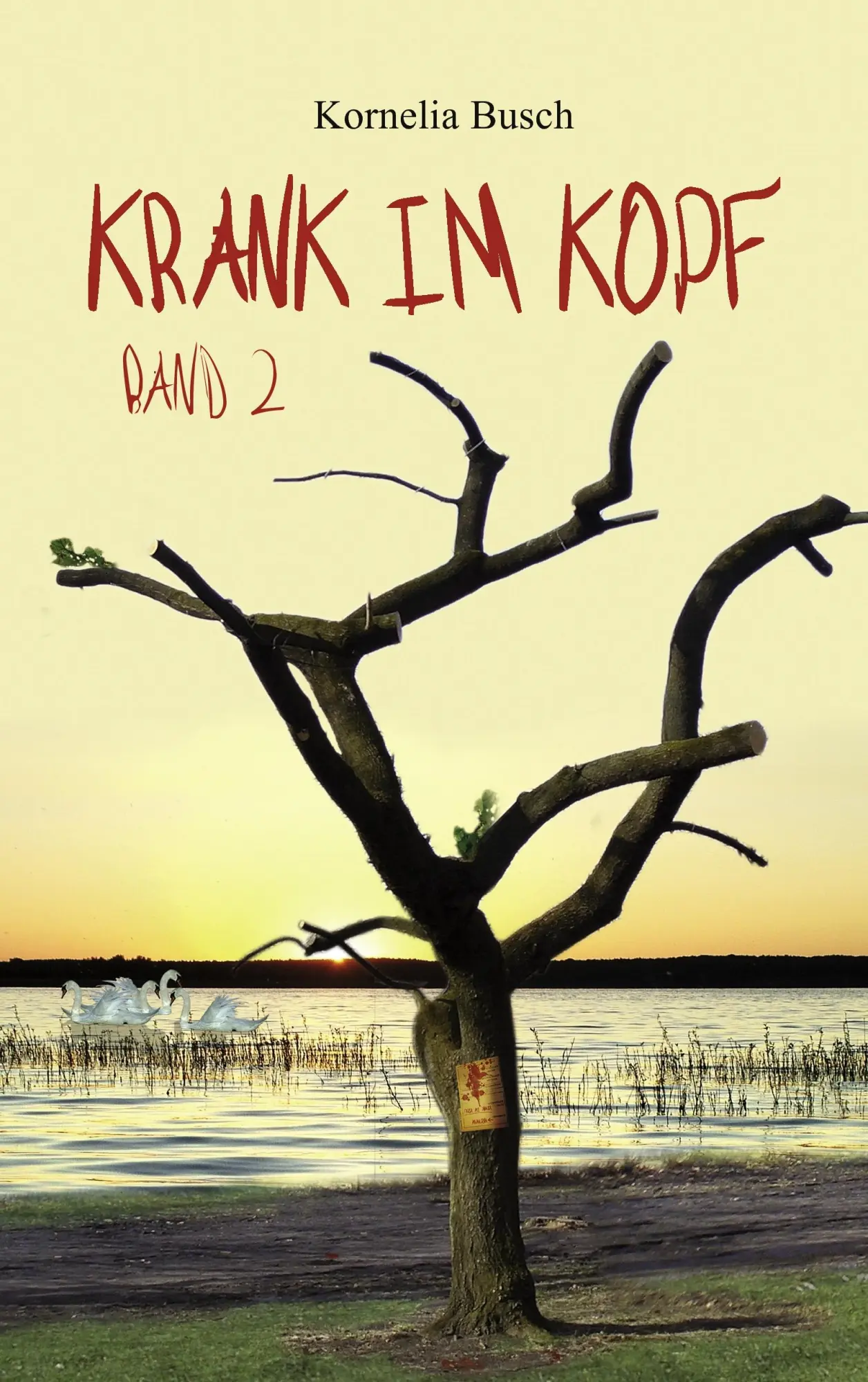 Cover: 9783842348394 | Krank im Kopf 2 | Kornelia Busch | Taschenbuch | 340 S. | Deutsch