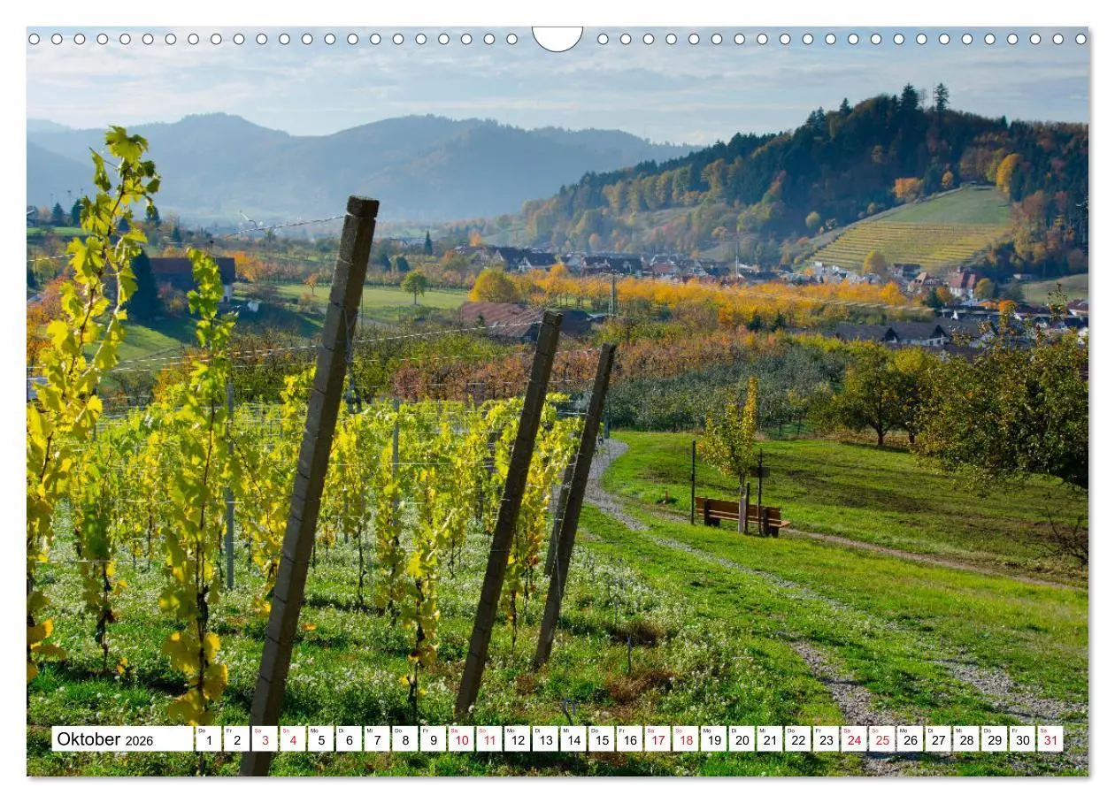 Bild: 9783457778494 | Idyllischer Schwarzwald (Wandkalender 2026 DIN A3 quer), CALVENDO...